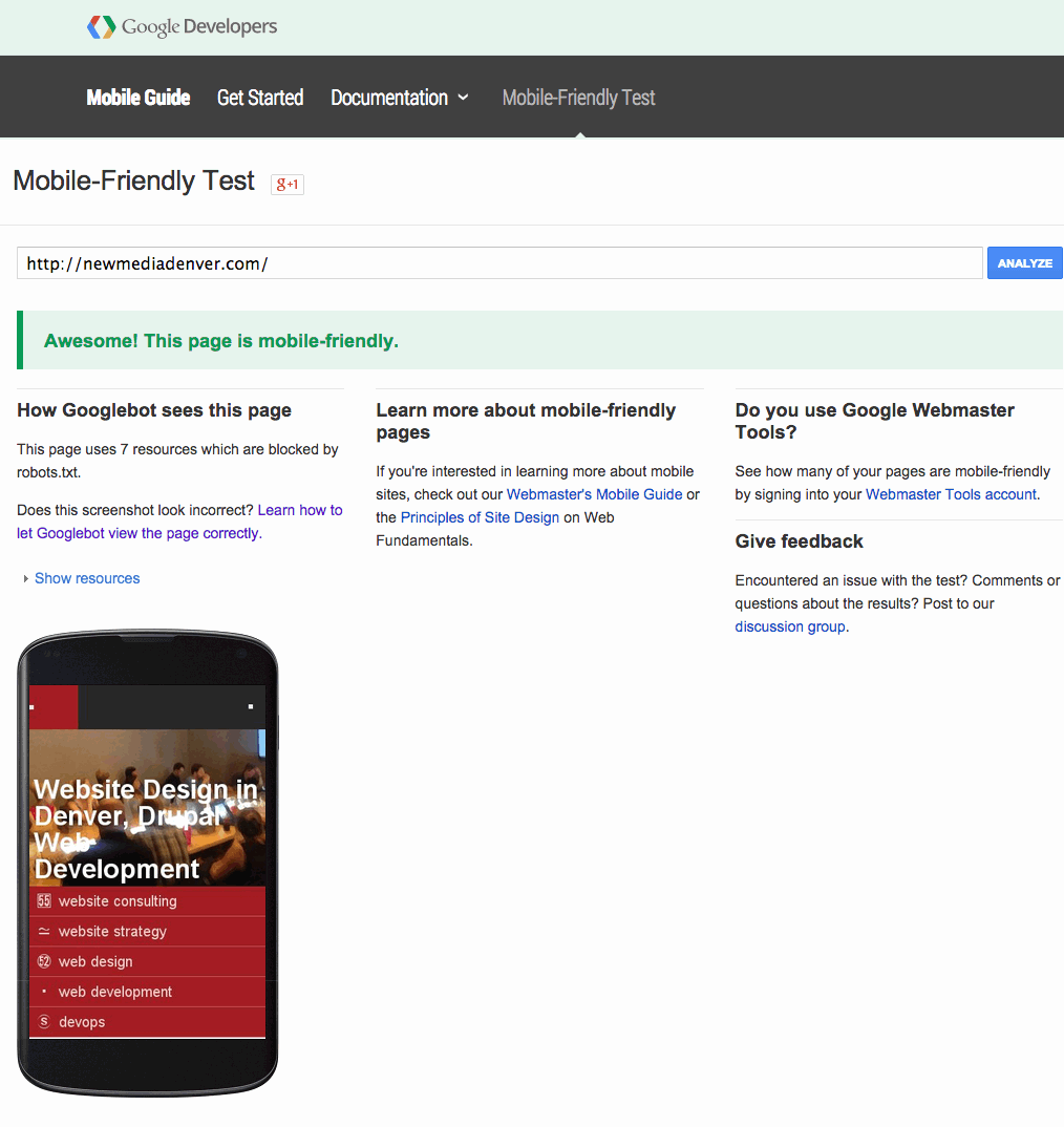 Screenshot of Mobile Friendly Test