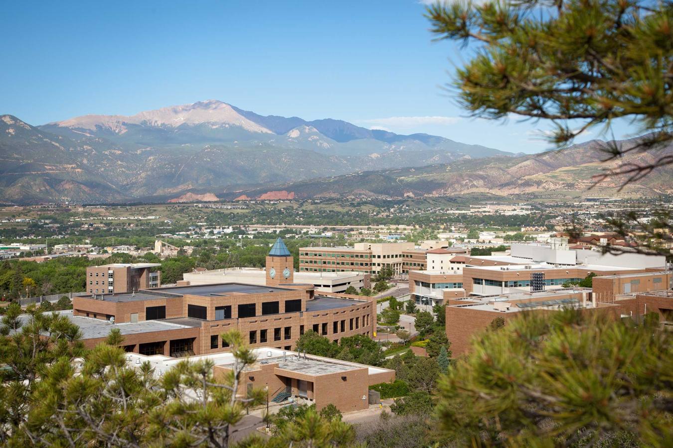 University of Colorado Web Design and SEO